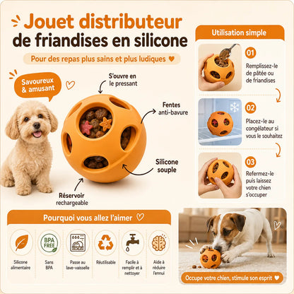 Jouet distributeur - chien occupé et concentré à lécher
