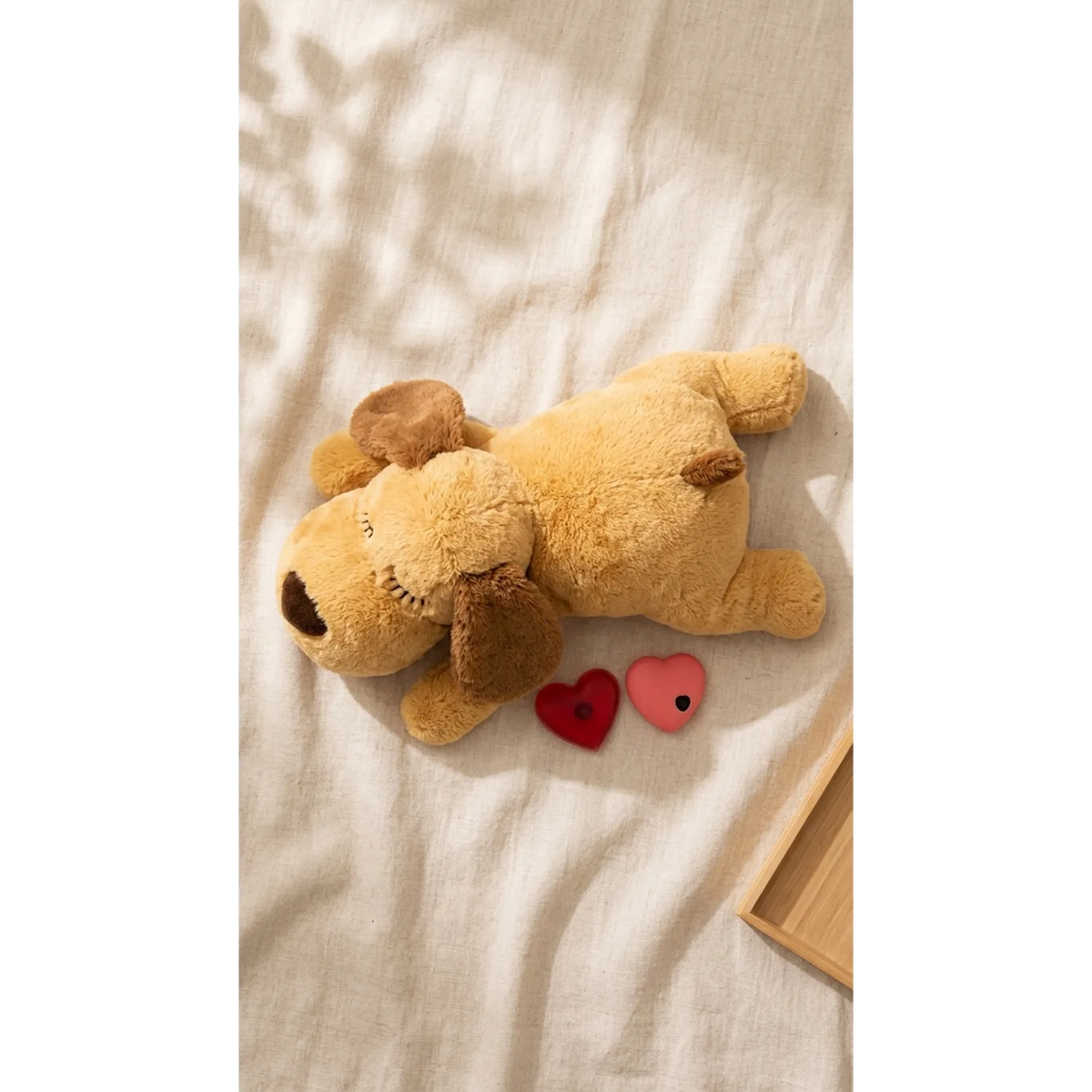 Chien apaisé blotti contre sa peluche battement de cœur