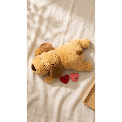 Chien apaisé blotti contre sa peluche battement de cœur