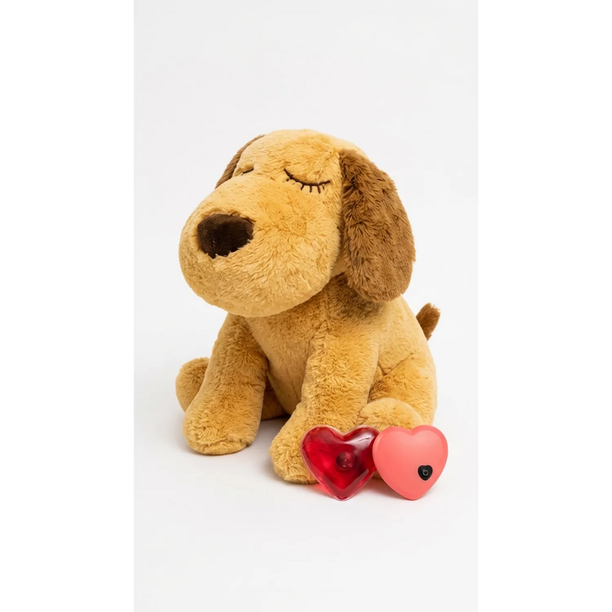 Chien endormi avec sa peluche battement de cœur - sommeil réparateur