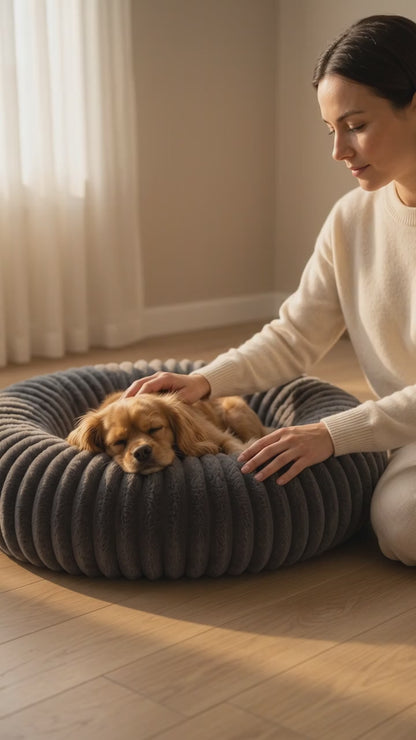 Démonstration vidéo du panier donut anti-stress pour chien - vue 360°